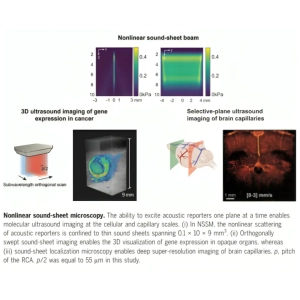 میکروسکوپی ورقه‌صوتی غیرخطی: تصویربرداری از بافت‌های کدر در مقیاس مویرگی و سلولی