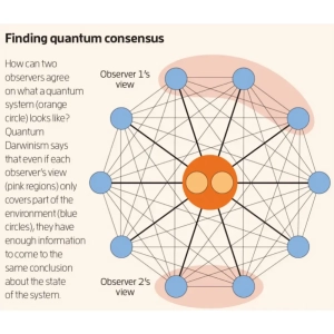 چگونه همه ما یک واقعیت واحد را می‌بینیم
