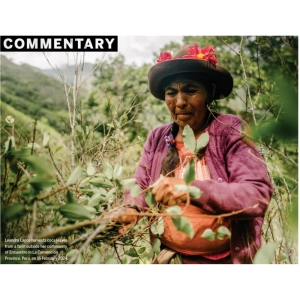 تمایزات علمی میان کوکا و کوکائین