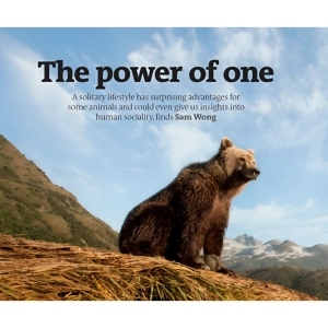 قدرت تنهایی