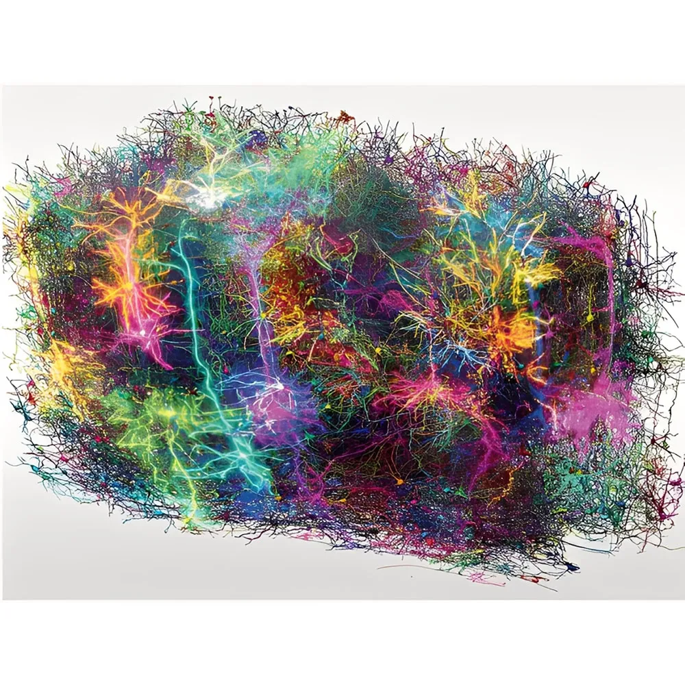 نقشه‌ای به وسعت مغز | بزرگ‌ترین بازسازی سه‌بعدی مغز پستانداران در جهان