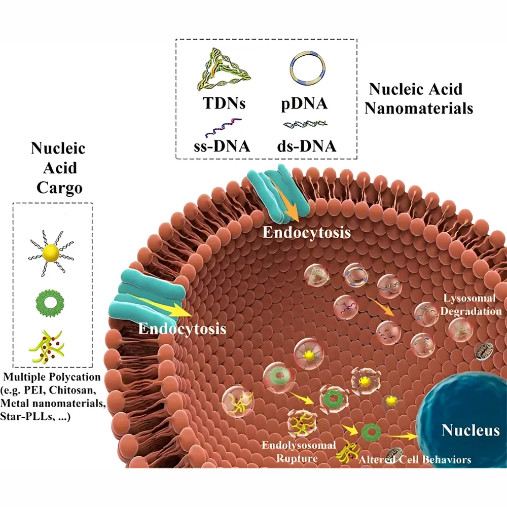 نانوساختارهای برپایه DNA