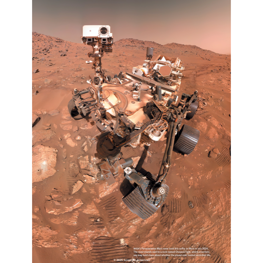 گیر افتاده در مریخ