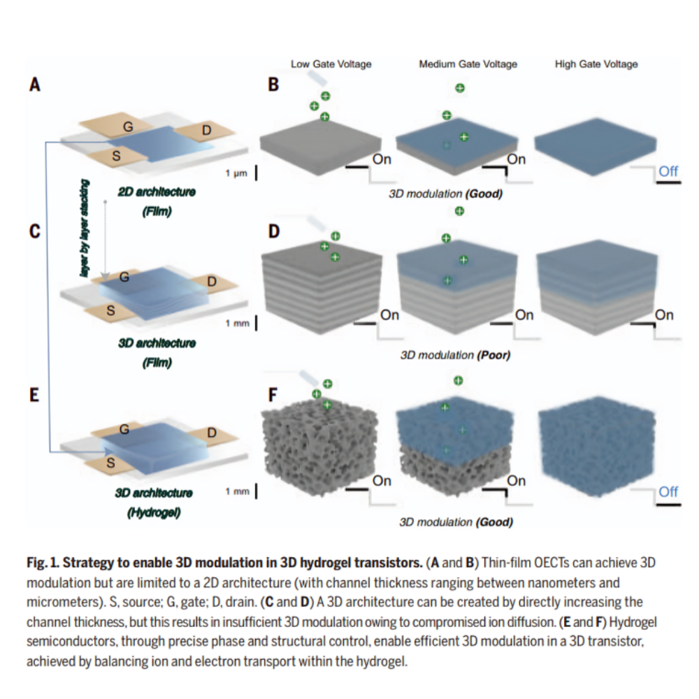 افزایش بُعدپذیری ترانزیستورها با هیدروژل‌ها