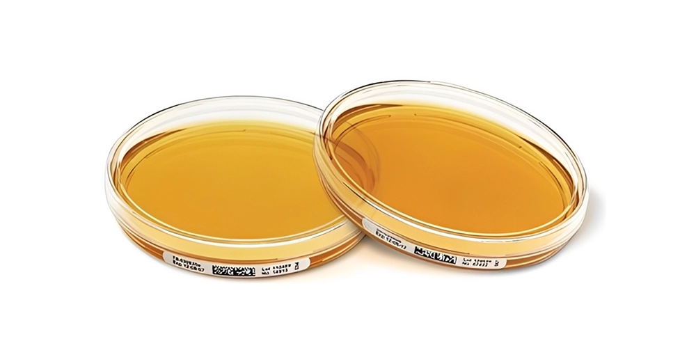 محیط کشت تریپتیک سوی آگار tsa