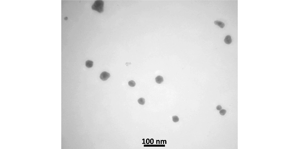 پودر نانو ذرات نقره