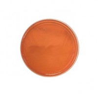 ﻛﻠﺴﺘﺮﻳﺪﻳﻮم سلکتیو آگار Clostridium Selective Agar