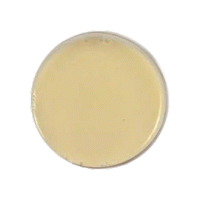 محیط کشت پلیت کانت اسکیم میلک آگار