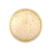 محیط کشت رینفورس کلاستریدیال آگار