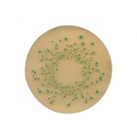 تریپتون بایل آگار tryptone bile agar