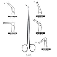 پاتس دیتریچ