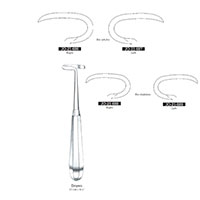 پریوست دنده دویان