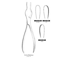 والشام بینی