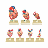 مولاژ قلب حیوانات