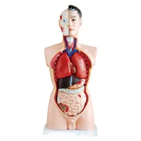 مولاژ نیم تنه مرد