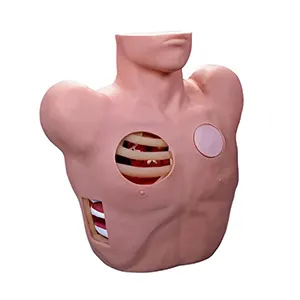 مانکن آموزش پزشکی مدل چست تیوپ گذاری