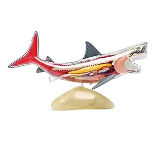 مولاژ کوسه ماهی