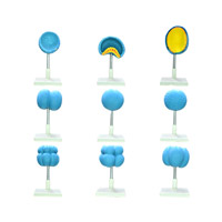 مولاژ میوز 8 قسمتی