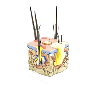 مولاژ پوست و موی سگ