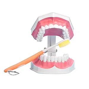 مولاژ آموزش مسواک