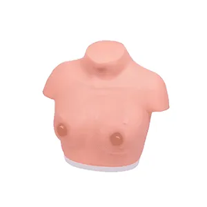 مانکن نیم تنه معاینه پستان