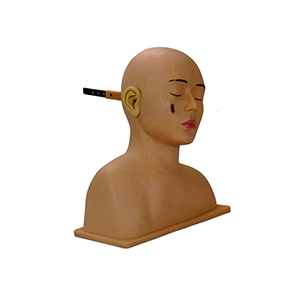 مولاژ معاینه گوش
