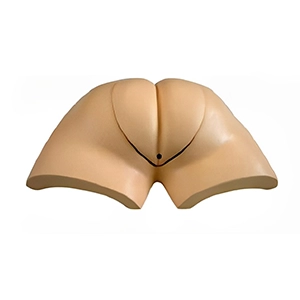 مانکن معاینه رکتوم