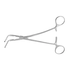 پنس دوبیگی رایت انگل