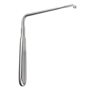 اکارتور اسکویل دورا مغزی