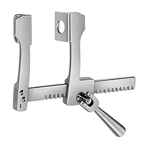 اکارتور توراکس فینوچیتو