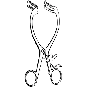 اکارتور مایو آدامز