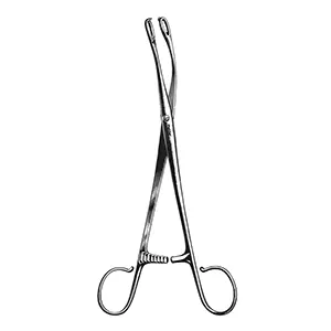 پنس کرو لوزه کوخر