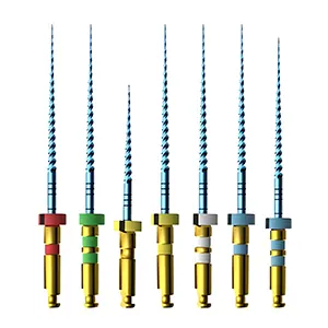 فایل روتاری درصدی هامرز بلو (دنکو)