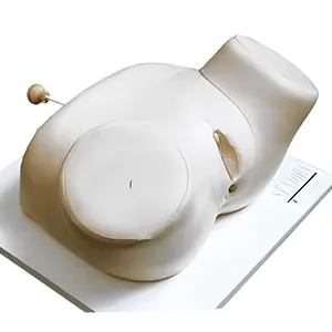 مولاژ معاینه اندام تناسلی زن