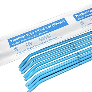 گاید بوژی بزرگسال