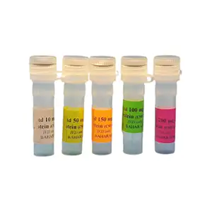 استاندارد 5 ویالی پروتئین ادرار-مایع نخاعی