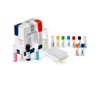 محیط کشت B G DEXTROSE AGAR SNYDER TEST AGAR