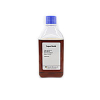 محیط کشت اکتینومایست ایزولاسیون آگار