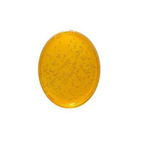 محیط کشت CANDIDA SELECTIVE AGAR